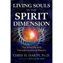 Living Souls in the Spirit Dimension: The Afterlife and Transdimensional Reality