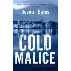 Cold Malice: A dark and chilling Icelandic noir thriller