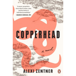 Copperhead: A Novel