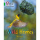 Wild Homes: Band 05/Green