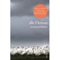 The Detour