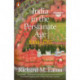 India in the Persianate Age: 1000-1765