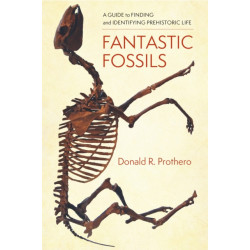 Fantastic Fossils: A Guide to Finding and Identifying Prehistoric Life