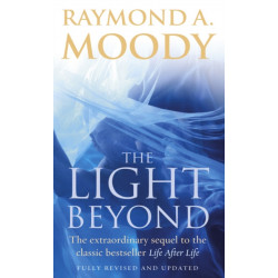 The Light Beyond: The extraordinary sequel to the classic Life After Life