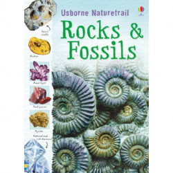 Rocks and Fossils: Rocks and Fossils