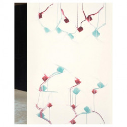 Kris Fierens: Beeldend kunstenaar - overzicht 1980-2020