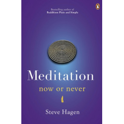 Meditation Now or Never