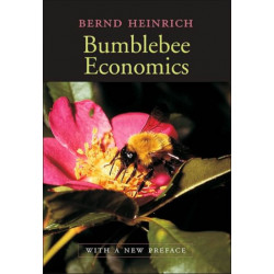 Bumblebee Economics: With a New Preface