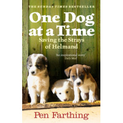 One Dog at a Time: An inspiring true story of saving the strays of Afghanistan