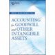 Accounting for Goodwill and Other Intangible Assets