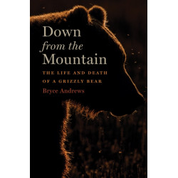 Down From The Mountain: The Life and Death of a Grizzly Bear