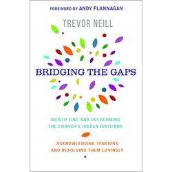 Bridging the Gaps: Identifying and overcoming our church's hidden divisions