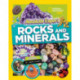 Absolute Expert: Rocks & Minerals