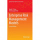 Enterprise Risk Management Models