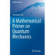 A Mathematical Primer on Quantum Mechanics