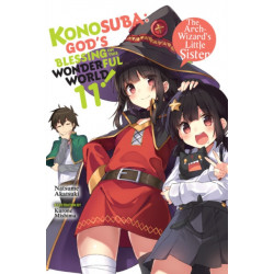 Konosuba: God's Blessing on This Wonderful World!, Vol. 11 (light novel)