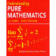 Understanding Pure Mathematics