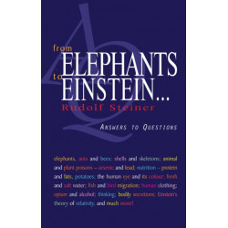 From Elephants to Einstein: Answers to Questions