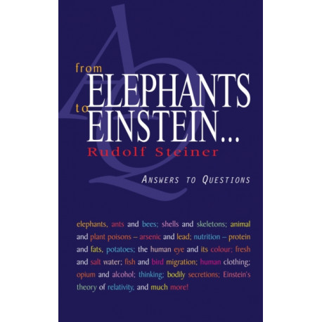 From Elephants to Einstein: Answers to Questions