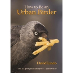 How to Be an Urban Birder