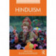 Hinduism: A Contemporary Philosophical Investigation