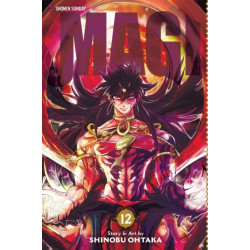 Magi: The Labyrinth of Magic, Vol. 12: The Labyrinth of Magic