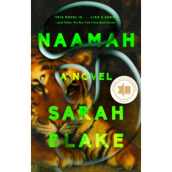 Naamah: A Novel