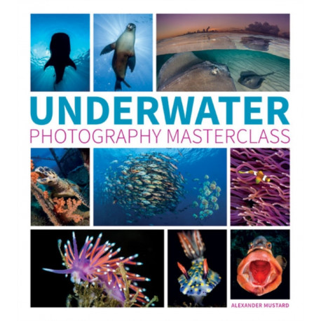 Underwater Photography Masterclass