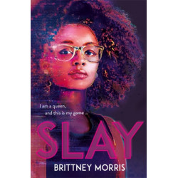 SLAY: the Black Panther-inspired novel about virtual reality, safe spaces and celebrating your identity