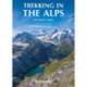 Trekking in the Alps