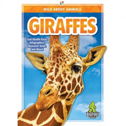 Giraffes