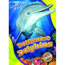 Bottlenose Dolphins