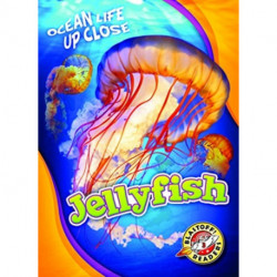 Jellyfish