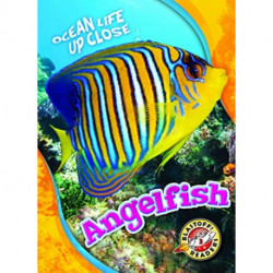 Angelfish