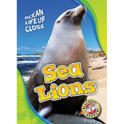 Sea Lions