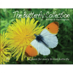 The Butterfly Collection