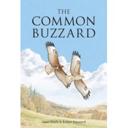 The Common Buzzard