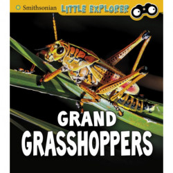 Grand Grasshoppers