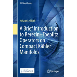 A Brief Introduction to Berezin–Toeplitz Operators on Compact Kahler Manifolds