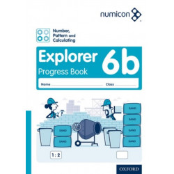 Numicon: Number, Pattern and Calculating 6 Explorer Progress Book B (Pack of 30)