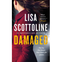 Damaged: A Rosato & DiNunzio Novel