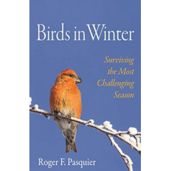 Birds in Winter: Surviving the Most Challenging Season