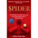 The Spider Network: The Wild Story of a Maths Genius and One of the Greatest Scams in Financial History