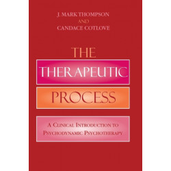The Therapeutic Process: A Clinical Introduction to Psychodynamic Psychotherapy
