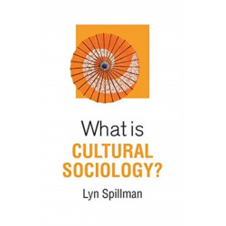 What is Cultural Sociology?