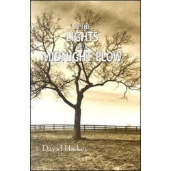 In the Lights of a Midnight Plow