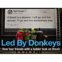 Led by Donkeys: How four friends with a ladder took on Brexit