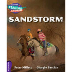 Cambridge Reading Adventures Sandstorm Purple Band