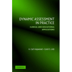 Dynamic Assessment in Practice: Clinical and Educational Applications