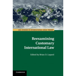 Reexamining Customary International Law